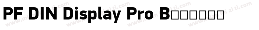PF DIN Display Pro B字体转换